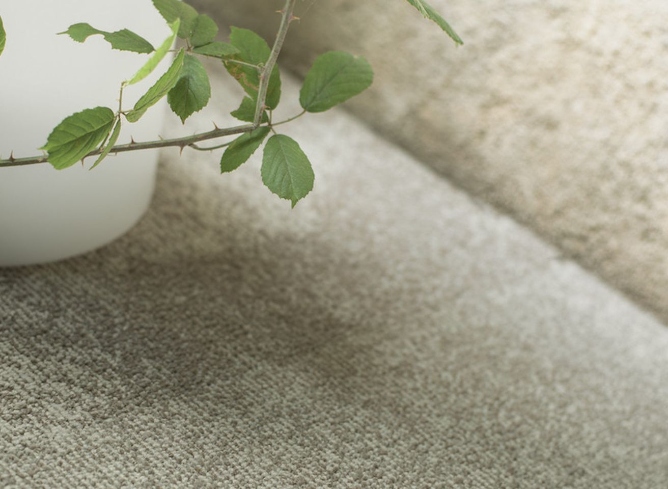 Balsan collectie