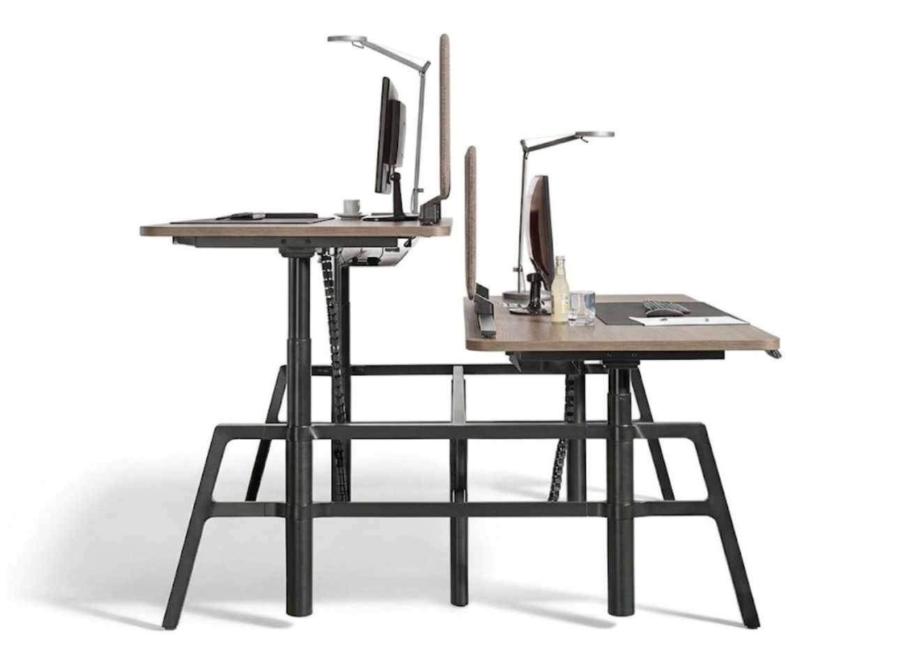 Wiesner Hager collectie