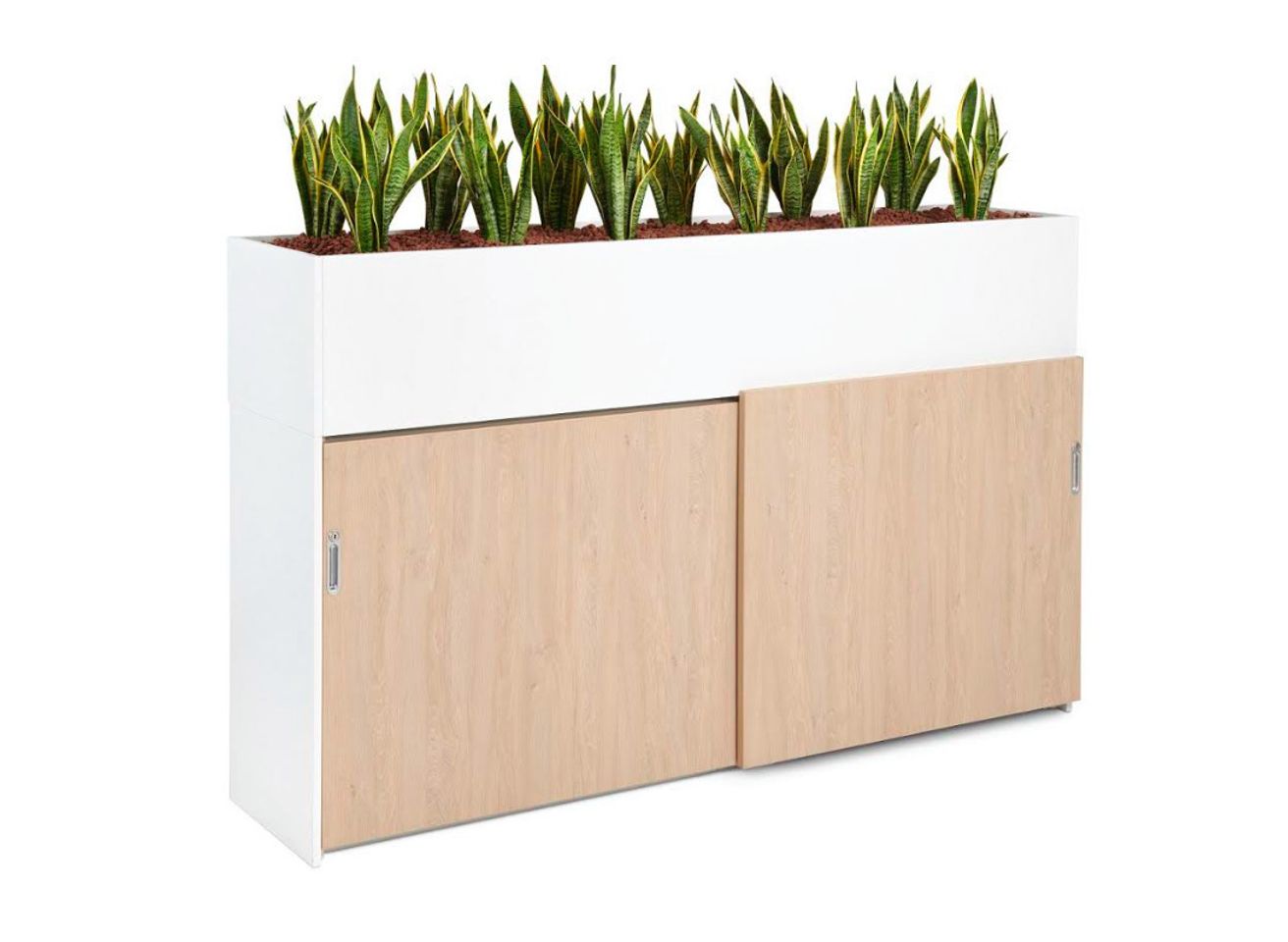 Voortman collectie