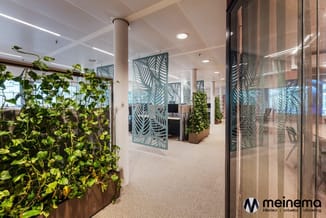 Modern kantoor met groene plantenbakken, glazen afscheidingen met zebrapatroon, beige tapijt en LED-verlichting in plafond.
