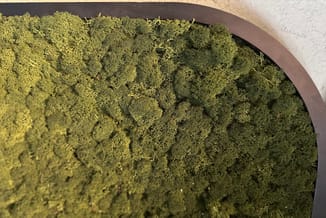 Preserved moss in bruine ronde container, geel-groene kleur, fijne textuur, decoratief natuurmateriaal.