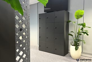Moderne kantoorkast met 15 donkergrijze gesloten vakken, digitale sloten, in lichte ruimte met plantendecoratie en TV aan wan