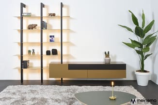 Moderne woonkamer met zwart-gouden TV-meubel, wandkasten met zwarte frames, beige tapijt, potplant en gouden kandelaar.