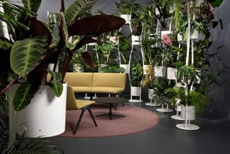 Kantoorruimte met gele zitbank, zwarte salontafel op rond bruin tapijt, omgeven door diverse potplanten in witte en zwarte pl