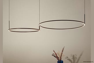 Twee hangende LED-ringlampjes met zwart frame boven een vaas met droogbloemen tegen neutrale wand.