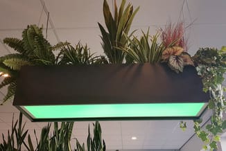 Hangende plantenbak met zwarte omlijsting en groen verlichte onderkant, gevuld met diverse groene planten en hangende groeien