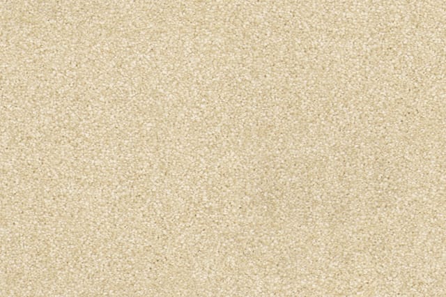 Beige tapijt met fijne textuur en uniforme korrelstructuur.